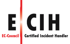 Logo ECIH